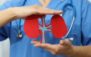 World Kidney Day and dangers of disregarding kidneys