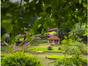 Moon Museum at Peradeniya: A Living Classroom of Sri Lanka’s Green Heritage