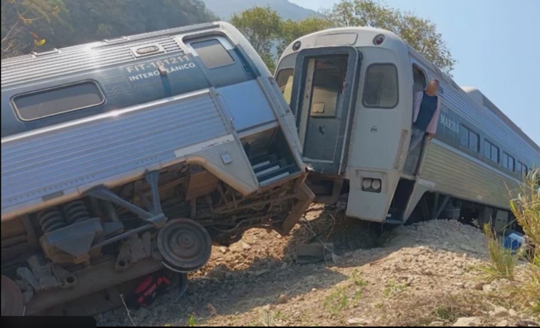 Machu Picchu train crash leaves one dead and dozens injured