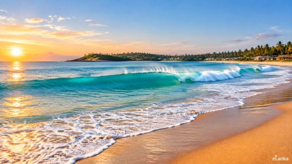 Sri Lanka Dominates Asia’s Best Beaches as Arugam Bay Tops Condé Nast Traveller Readers’ Choice Awards 2026